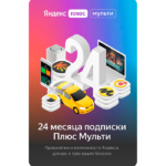 Yandex multi pack 24 mount